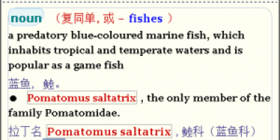 某CSS 某CSS
